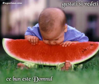 FERICE DE OMUL CE SE INCREDE IN DUMNEZEU!!!